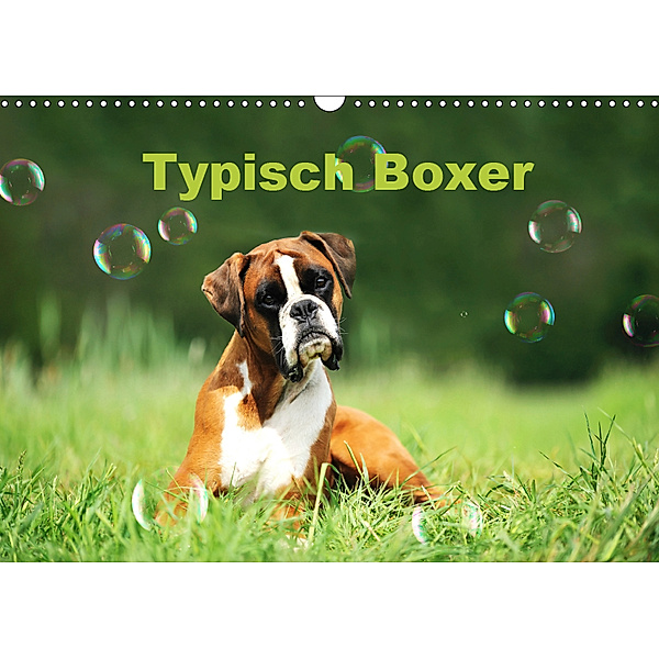 Typisch Boxer (Wandkalender 2019 DIN A3 quer), Yvonne Janetzek
