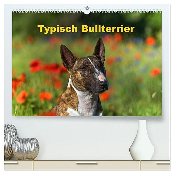 Typisch Bullterrier (hochwertiger Premium Wandkalender 2025 DIN A2 quer), Kunstdruck in Hochglanz, Calvendo, Yvonne Janetzek