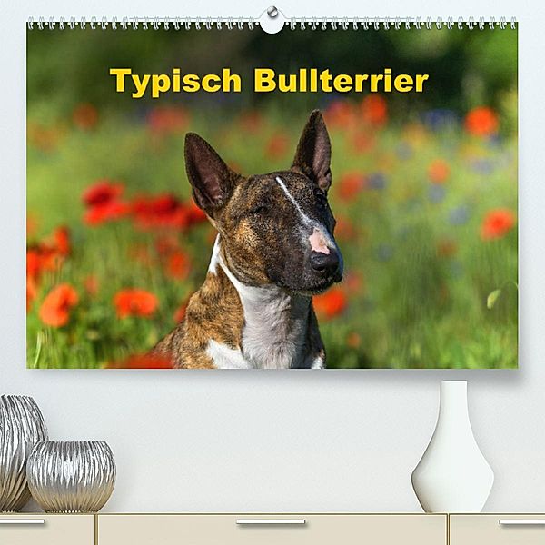 Typisch Bullterrier (Premium, hochwertiger DIN A2 Wandkalender 2023, Kunstdruck in Hochglanz), Yvonne Janetzek