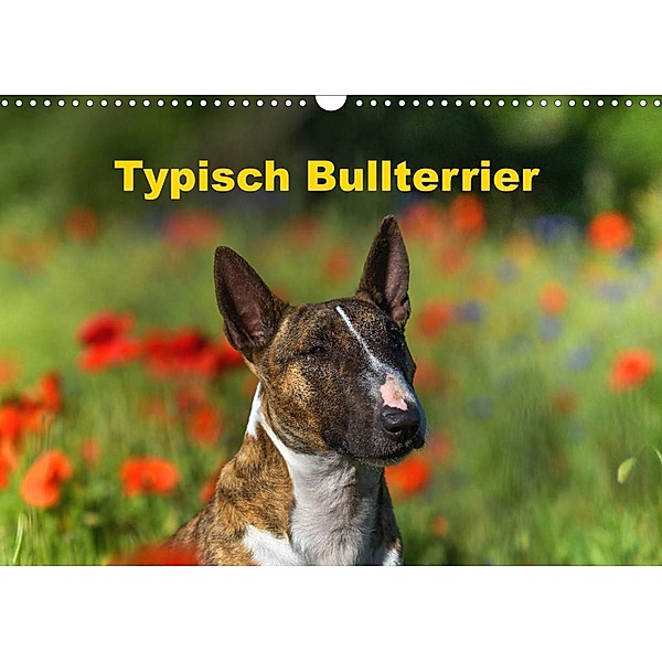 Typisch Bullterrier (Wandkalender 2023 DIN A3 quer), Yvonne Janetzek