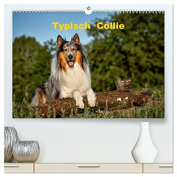 Typisch Collie (hochwertiger Premium Wandkalender 2024 DIN A2 quer), Kunstdruck in Hochglanz, Yvonne Janetzek