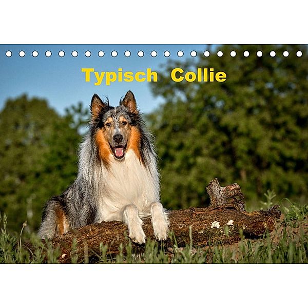 Typisch Collie (Tischkalender 2023 DIN A5 quer), Yvonne Janetzek