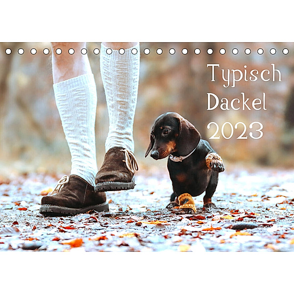 Typisch Dackel 2023 (Tischkalender 2023 DIN A5 quer), Anja Foto Grafia Fotografie