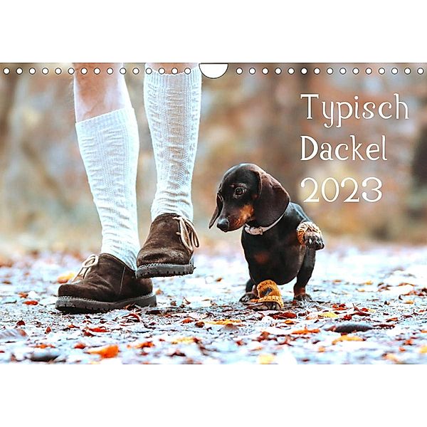 Typisch Dackel 2023 (Wandkalender 2023 DIN A4 quer), Anja Foto Grafia Fotografie