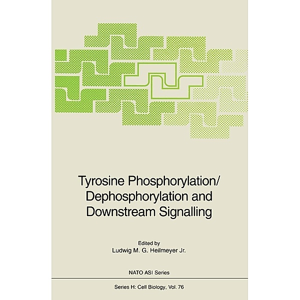 Tyrosine Phosphorylation/Dephosphorylation and Downstream Signalling / Nato ASI Subseries H: Bd.76