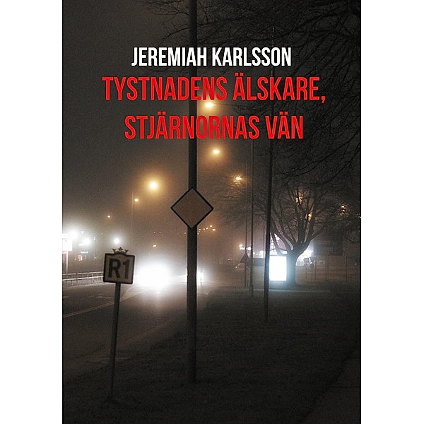 Tystnadens älskare, stjärnornas vän / Socialtjänstdeckare Bd.1, Jeremiah Karlsson