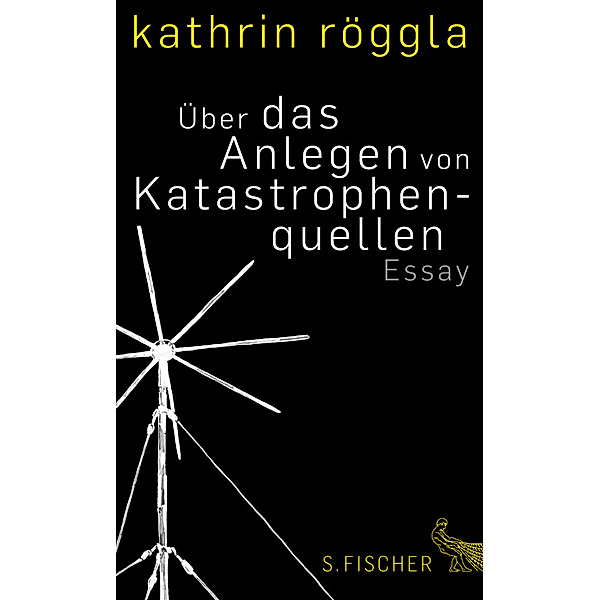 Über das Anlegen von Katastrophenquellen, Kathrin Röggla