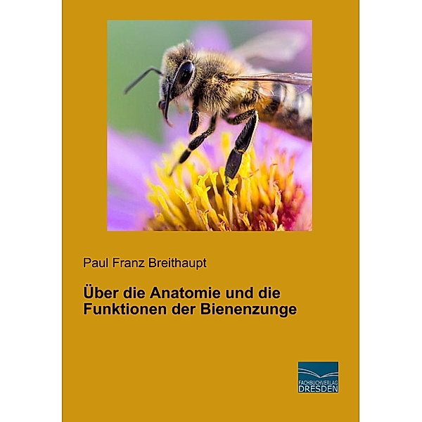 Über die Anatomie und die Funktionen der Bienenzunge, Paul Franz Breithaupt