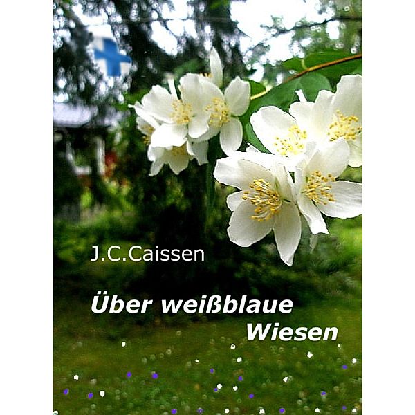 Über weißblaue Wiesen, J. C. Caissen