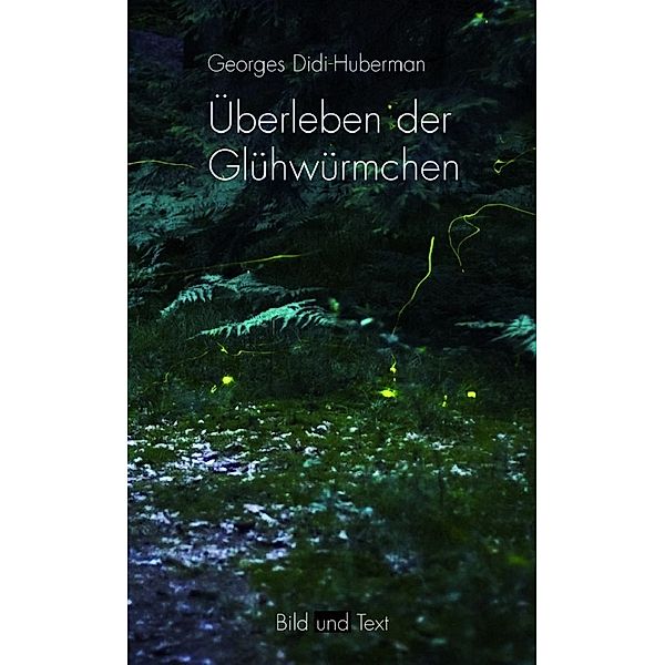 Überleben der Glühwürmchen, Georges Didi-Huberman