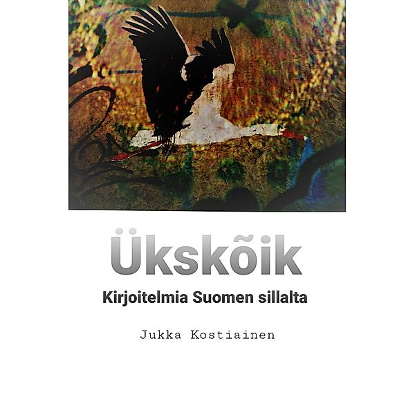 Ükskõik, Jukka Kostiainen