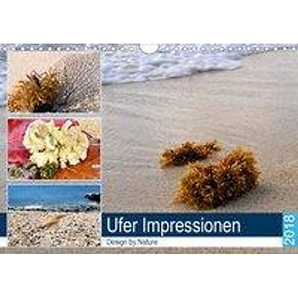 Ufer-Impressionen (Wandkalender 2020 DIN A4 quer), Sylvia Seibl