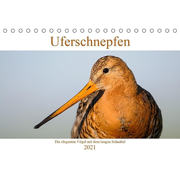 Uferschnepfen - Die eleganten Vögel mit dem langen Schnabel (Tischkalender 2021 DIN A5 quer), Christof Wermter