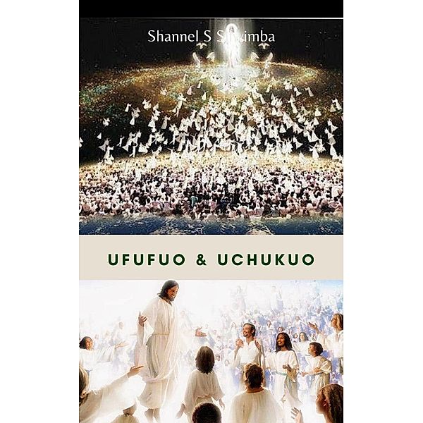 Ufufuo & Uchukuo, Shannel S Silwimba