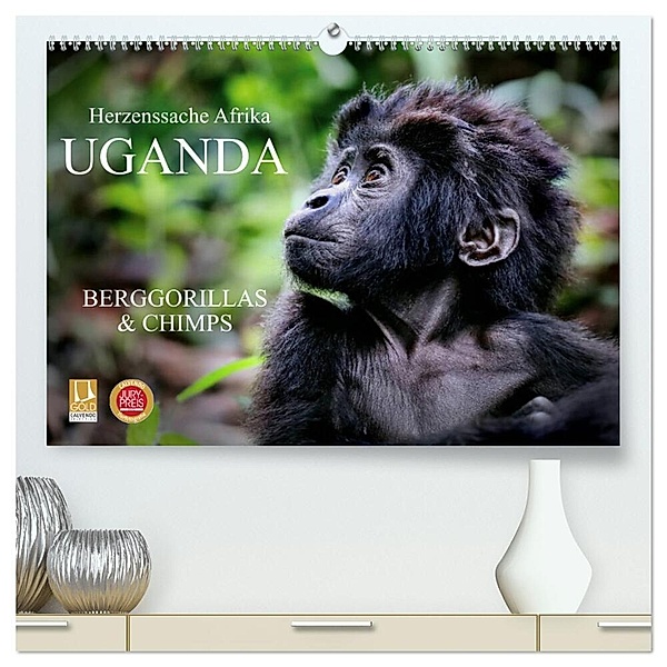 UGANDA - Berggorillas & Chimps (hochwertiger Premium Wandkalender 2025 DIN A2 quer), Kunstdruck in Hochglanz, Calvendo, Wibke Woyke