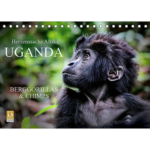 UGANDA - Berggorillas & Chimps (Tischkalender 2023 DIN A5 quer), Wibke Woyke
