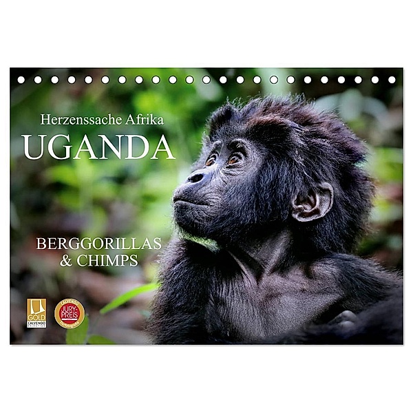 UGANDA - Berggorillas & Chimps (Tischkalender 2025 DIN A5 quer), CALVENDO Monatskalender, Calvendo, Wibke Woyke