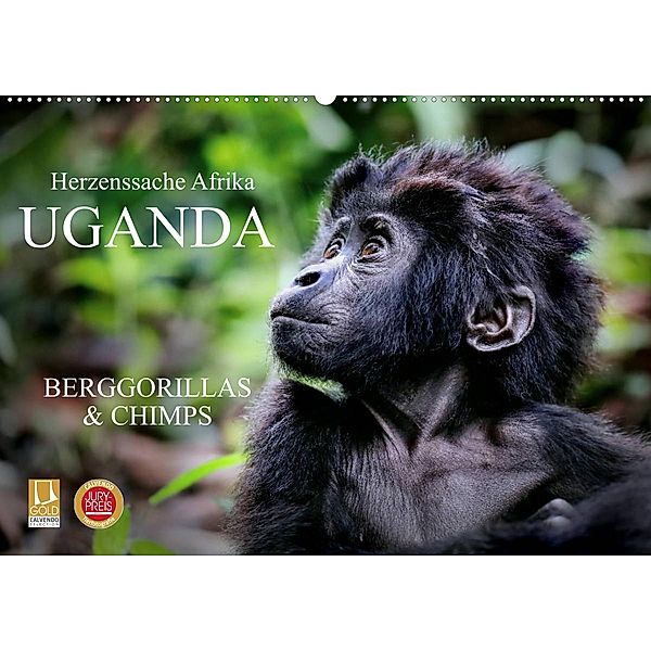 UGANDA - Berggorillas & Chimps (Wandkalender 2023 DIN A2 quer), Wibke Woyke