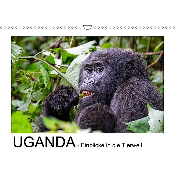 UGANDA - Einblicke in die Tierwelt (Wandkalender 2020 DIN A3 quer), Thorsten Jürs