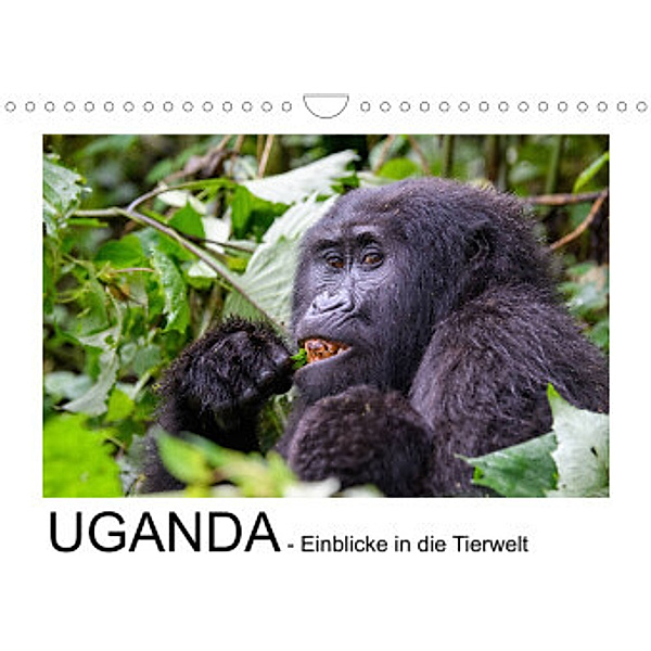 UGANDA - Einblicke in die Tierwelt (Wandkalender 2022 DIN A4 quer), Thorsten Jürs