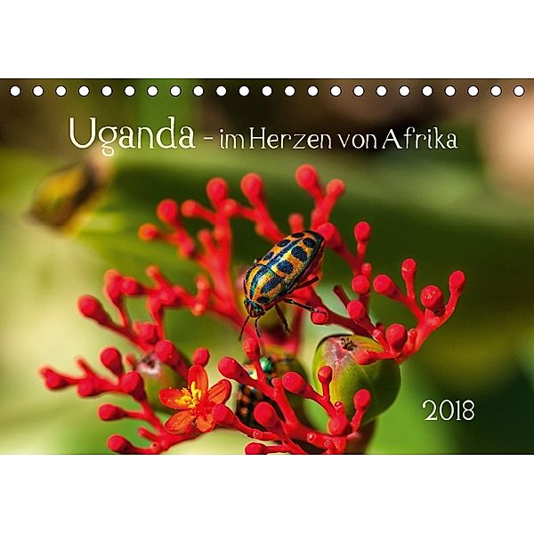 Uganda - im Herzen von Afrika (Tischkalender 2018 DIN A5 quer), Barbara Bethke