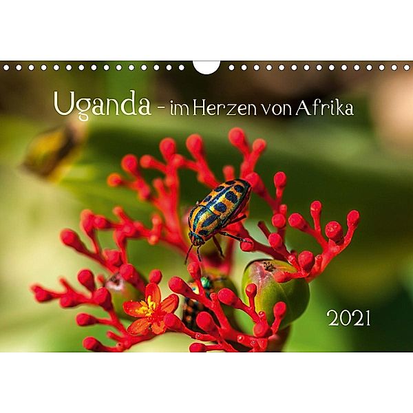 Uganda - im Herzen von Afrika (Wandkalender 2021 DIN A4 quer), Barbara Bethke