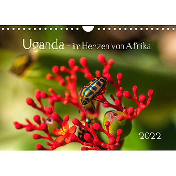 Uganda - im Herzen von Afrika (Wandkalender 2022 DIN A4 quer), Barbara Bethke