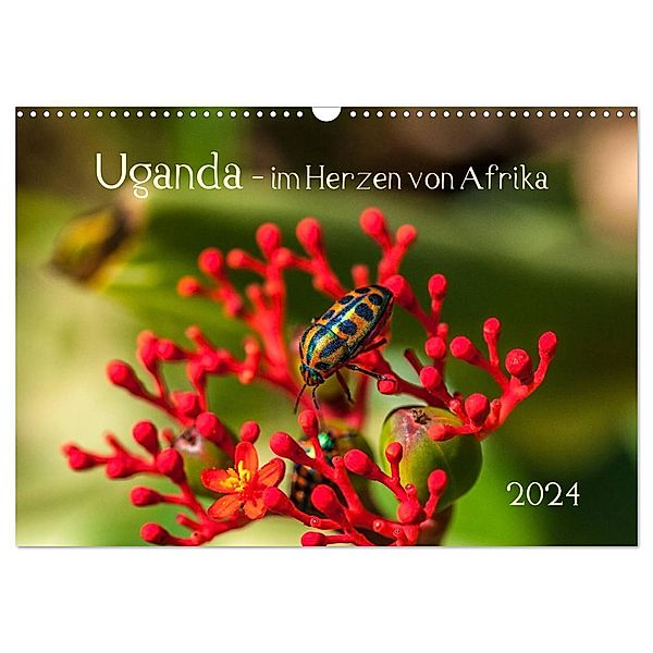 Uganda - im Herzen von Afrika (Wandkalender 2024 DIN A3 quer), CALVENDO Monatskalender, Barbara Bethke