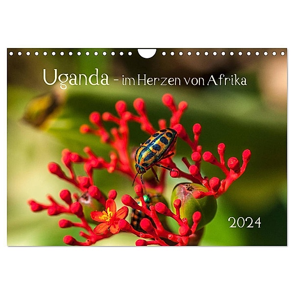 Uganda - im Herzen von Afrika (Wandkalender 2024 DIN A4 quer), CALVENDO Monatskalender, Barbara Bethke