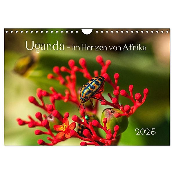 Uganda - im Herzen von Afrika (Wandkalender 2025 DIN A4 quer), CALVENDO Monatskalender, Calvendo, Barbara Bethke