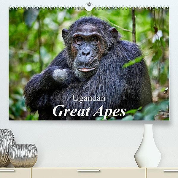 Ugandan Great Apes (Premium, hochwertiger DIN A2 Wandkalender 2023, Kunstdruck in Hochglanz), Juergen Ritterbach