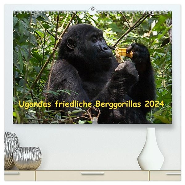 Ugandas friedliche Berggorillas (hochwertiger Premium Wandkalender 2024 DIN A2 quer), Kunstdruck in Hochglanz, Johanna Krause
