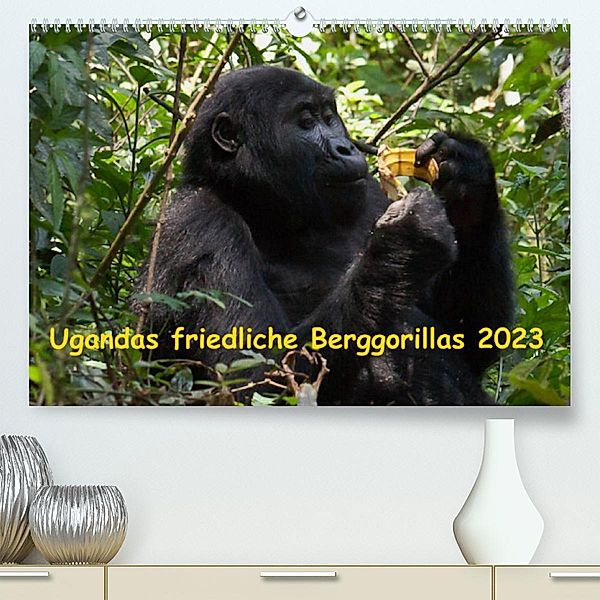 Ugandas friedliche Berggorillas (Premium, hochwertiger DIN A2 Wandkalender 2023, Kunstdruck in Hochglanz), Johanna Krause