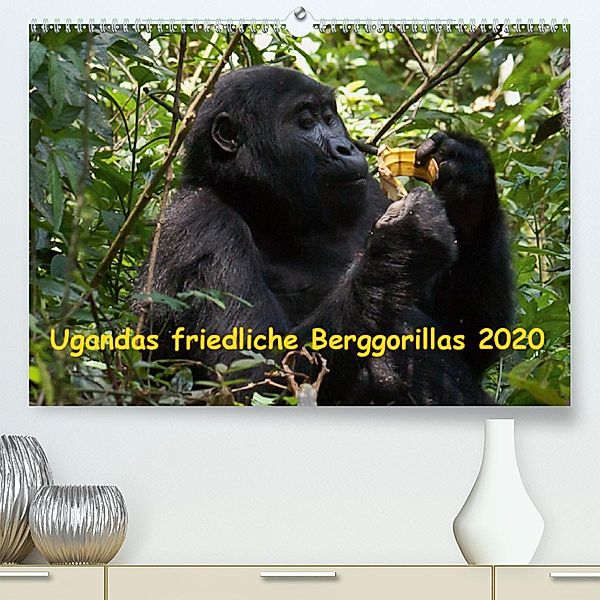 Ugandas friedliche Berggorillas (Premium-Kalender 2020 DIN A2 quer), Johanna Krause