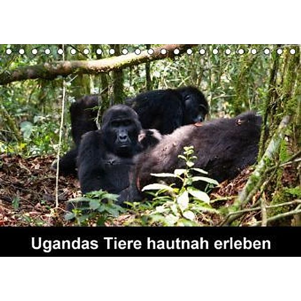 Ugandas Tiere hautnah erleben (Tischkalender 2015 DIN A5 quer), Johanna Krause