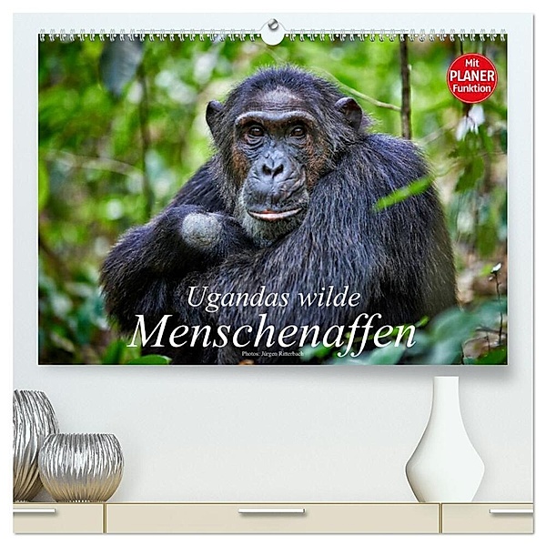 Ugandas wilde Menschenaffen (hochwertiger Premium Wandkalender 2024 DIN A2 quer), Kunstdruck in Hochglanz, Jürgen Ritterbach