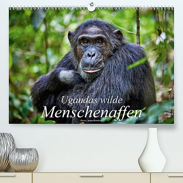 Ugandas wilde Menschenaffen (Premium, hochwertiger DIN A2 Wandkalender 2020, Kunstdruck in Hochglanz), Jürgen Ritterbach