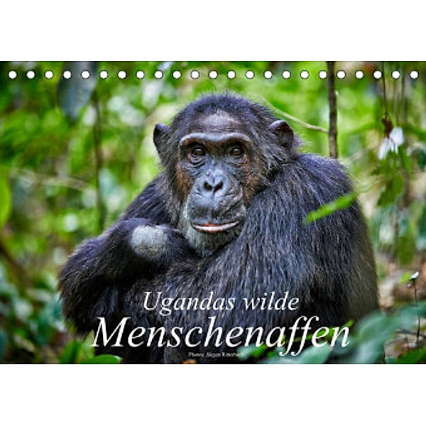 Ugandas wilde Menschenaffen (Tischkalender 2022 DIN A5 quer), Jürgen Ritterbach