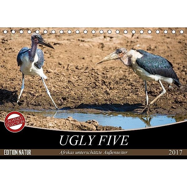 Ugly Five (Tischkalender 2017 DIN A5 quer), Stefanie Krüger