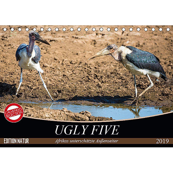 Ugly Five (Tischkalender 2019 DIN A5 quer), Carsten Krüger, Stefanie Krüger