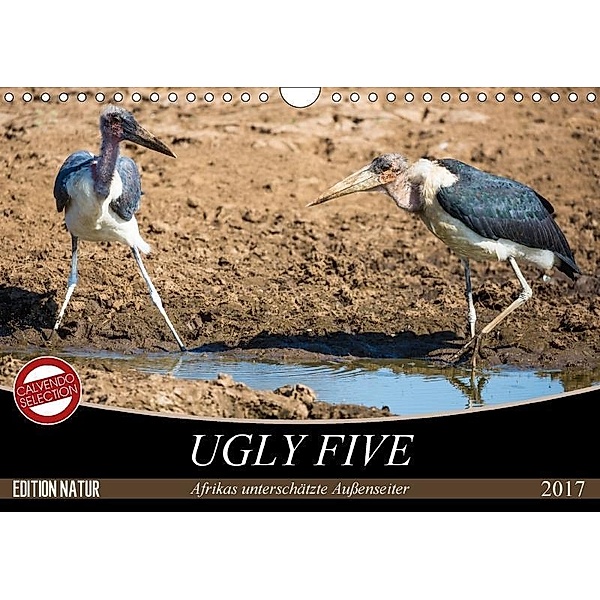 Ugly Five (Wandkalender 2017 DIN A4 quer), Stefanie Krüger
