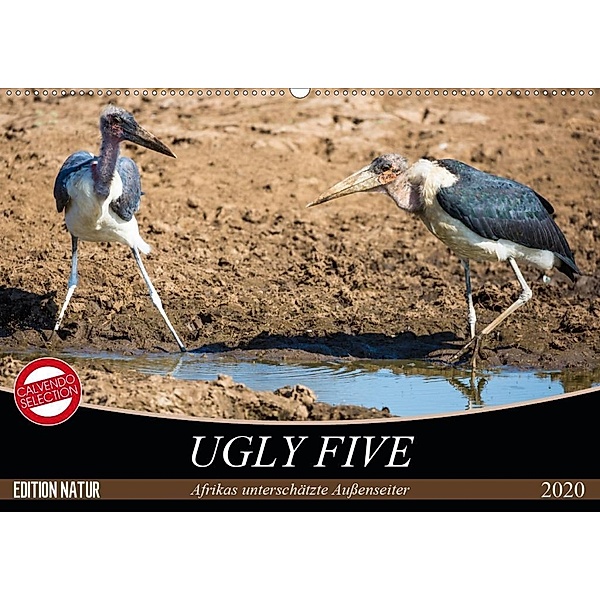 Ugly Five (Wandkalender 2020 DIN A2 quer), Carsten Krüger, Stefanie Krüger