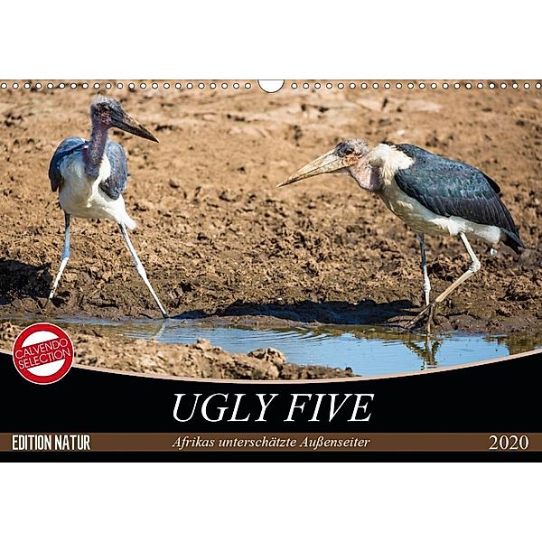 Ugly Five (Wandkalender 2020 DIN A3 quer), Carsten Krüger, Stefanie Krüger