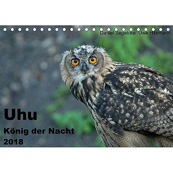 Uhu - König der Nacht (Tischkalender 2018 DIN A5 quer), Daniel Segelcke