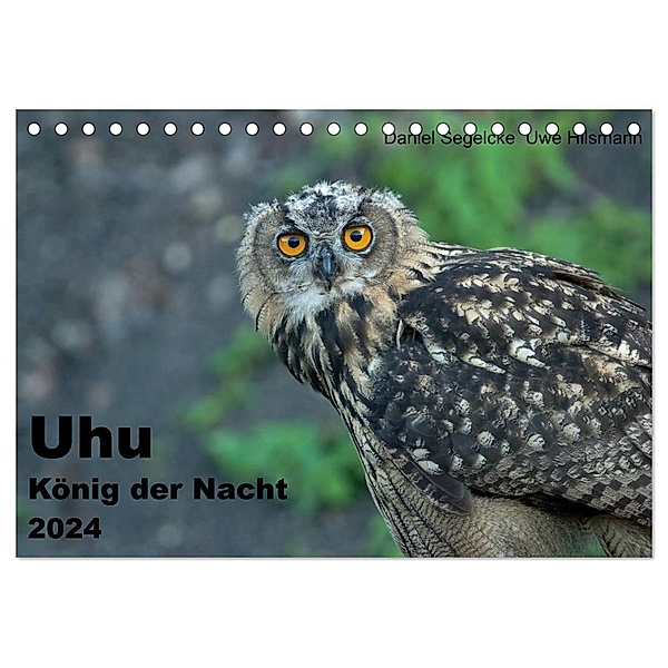 Uhu - König der Nacht (Tischkalender 2024 DIN A5 quer), CALVENDO Monatskalender, Uwe Hilsmann, Daniel Segelcke
