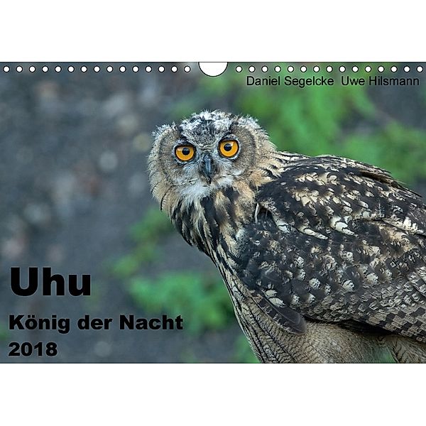 Uhu - König der Nacht (Wandkalender 2018 DIN A4 quer) Dieser erfolgreiche Kalender wurde dieses Jahr mit gleichen Bilder, Daniel Segelcke