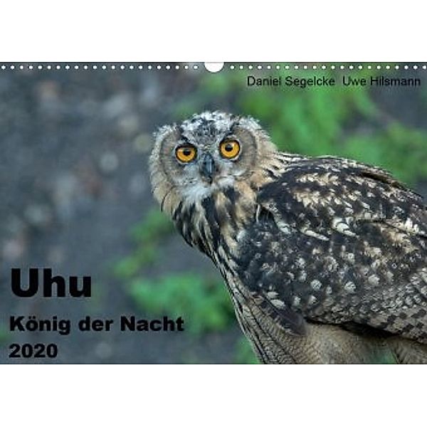 Uhu - König der Nacht (Wandkalender 2020 DIN A3 quer), Daniel Segelcke