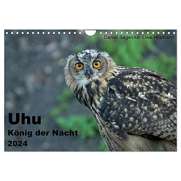 Uhu - König der Nacht (Wandkalender 2024 DIN A4 quer), CALVENDO Monatskalender, Uwe Hilsmann, Daniel Segelcke