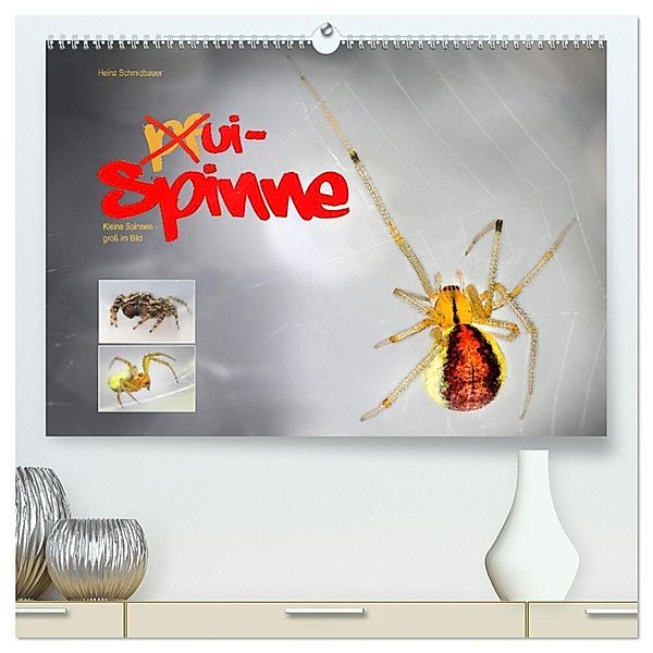 ui - Spinne. Kleine Spinnen - groß im Bild (hochwertiger Premium Wandkalender 2025 DIN A2 quer), Kunstdruck in Hochglanz, Calvendo, Heinz Schmidbauer