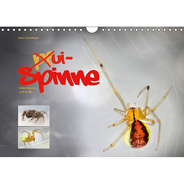 ui - Spinne. Kleine Spinnen - gross im Bild (Wandkalender 2019 DIN A4 quer), Heinz Schmidbauer